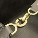 Christian Dior Medium Dior Toujours Bag Black